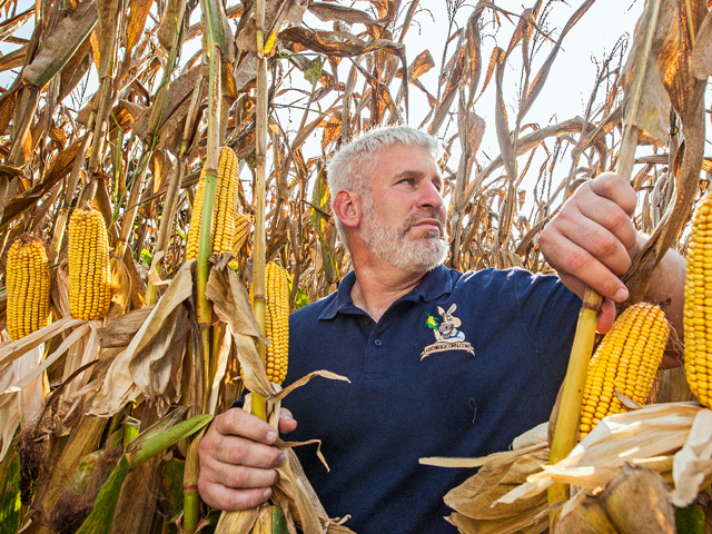 This year Randy Dowdy hauled home a first place win in NCGA&#039;s National Corn Yield contest with 521.3969 bushels per acre. (DTN/Progressive Farmer photo by Mark Wallheiser)